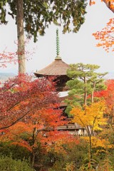 常寂光時にて