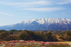 いなべ梅林公園