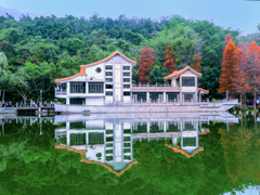 中国 深圳 仙湖植物園その１