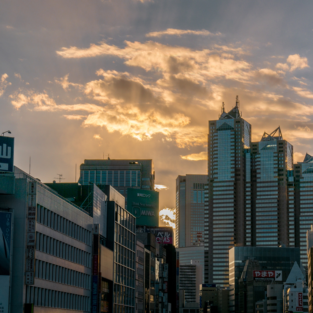 夕焼け・冬の新宿