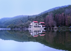 中国 深圳 仙湖植物園その２
