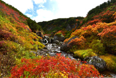 紅葉さんぽ 3