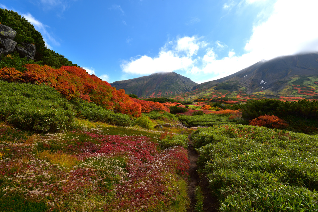 紅葉さんぽ 1