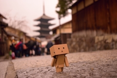 京都 ダンボー 2