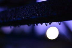 Water Droplets