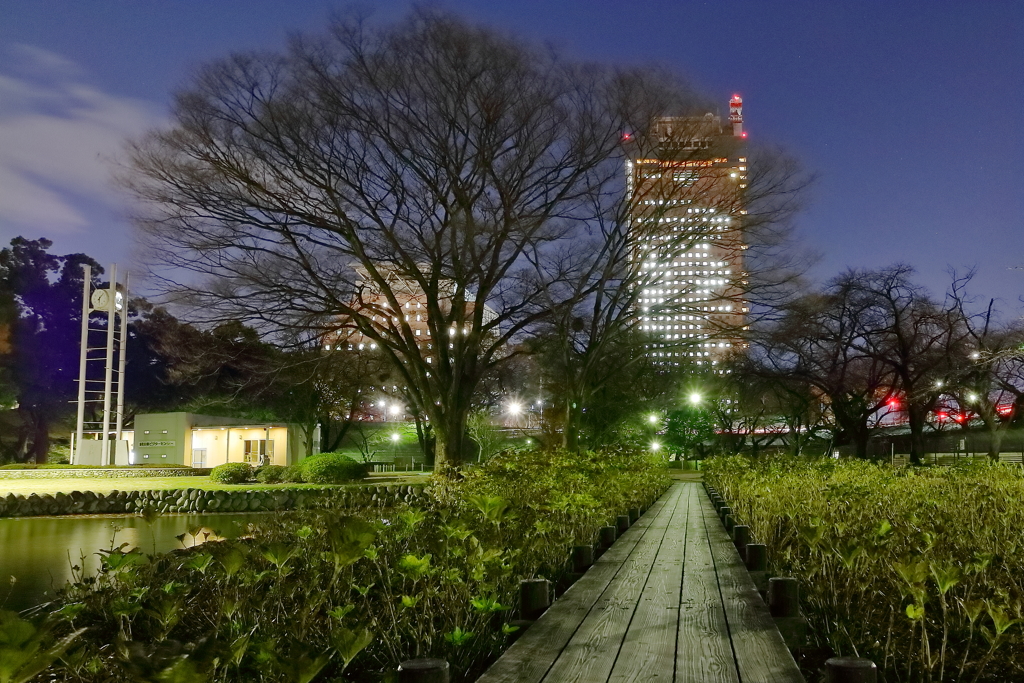 夜の県都 ぶら散歩Part20