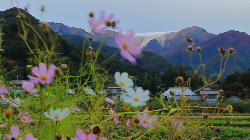 晩秋を迎える