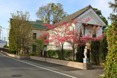 パリ？の散歩道Ⅴ