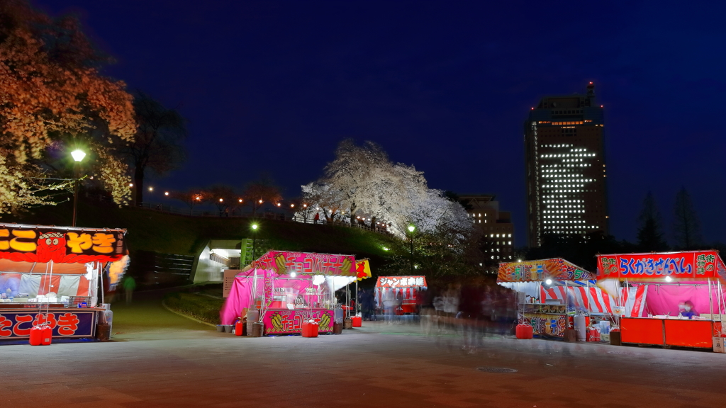 県都の夜桜 Part2