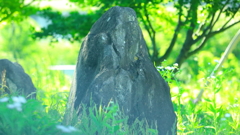 木陰