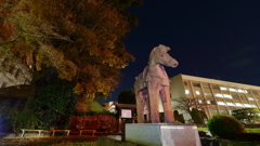 夜の県都 ぶら散歩Part10