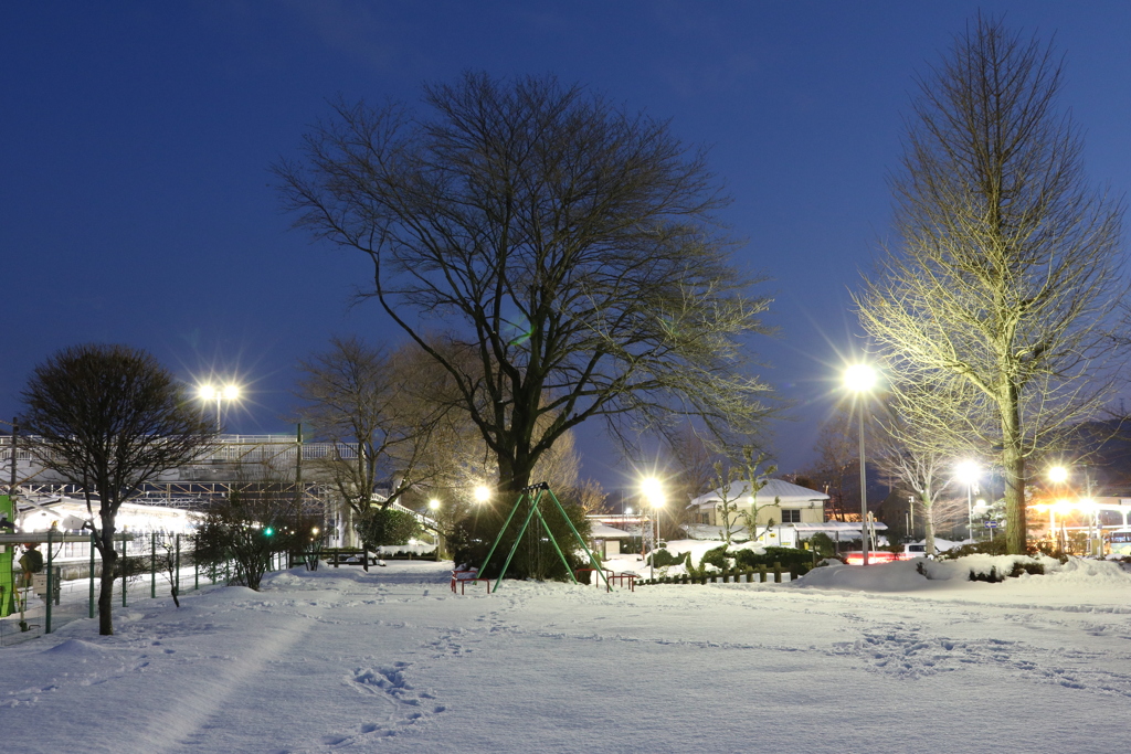 冬の公園