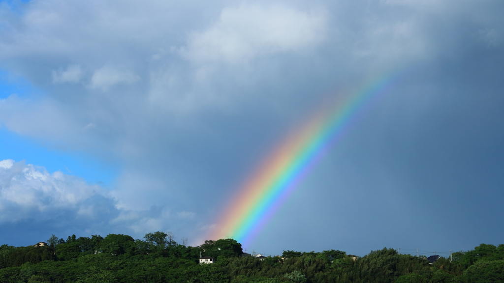 Ｃａｔｃｈ　ｔｈｅ　Ｒａｉｎｂｏｗ