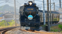 夕陽をあびて