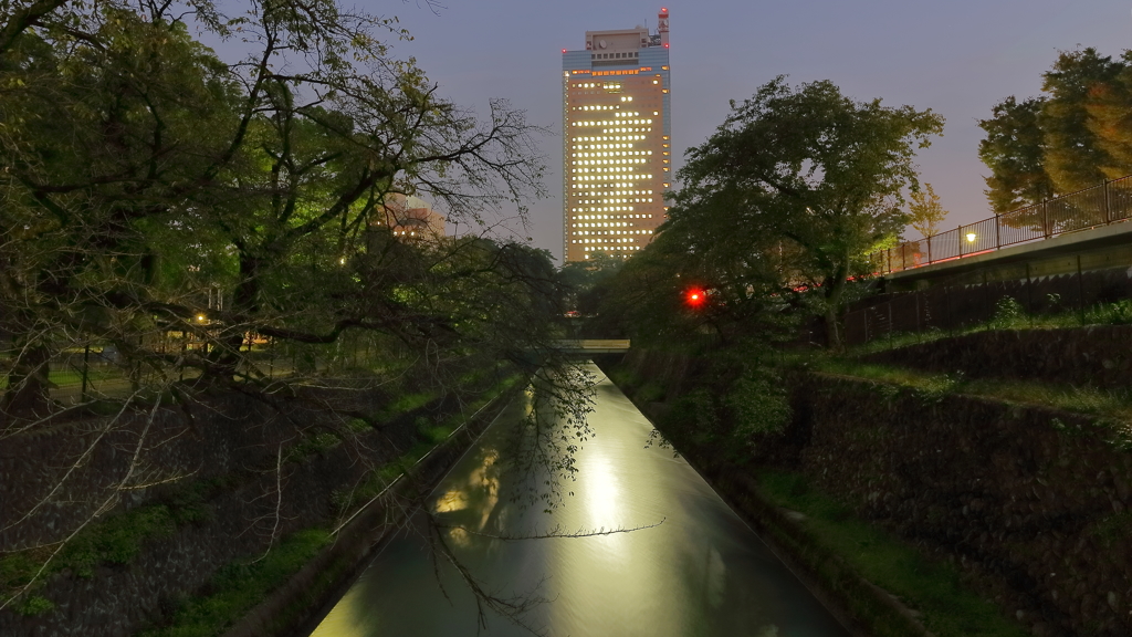 県都前橋生糸の市 Ⅵ