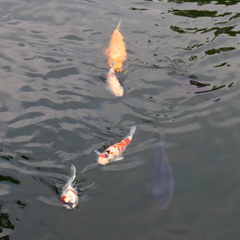 残暑お見舞い申し上げますⅠ