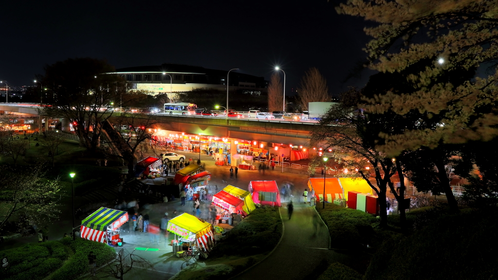 県都の夜桜 Part3