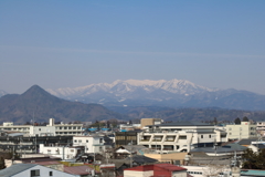 春の訪れⅢ