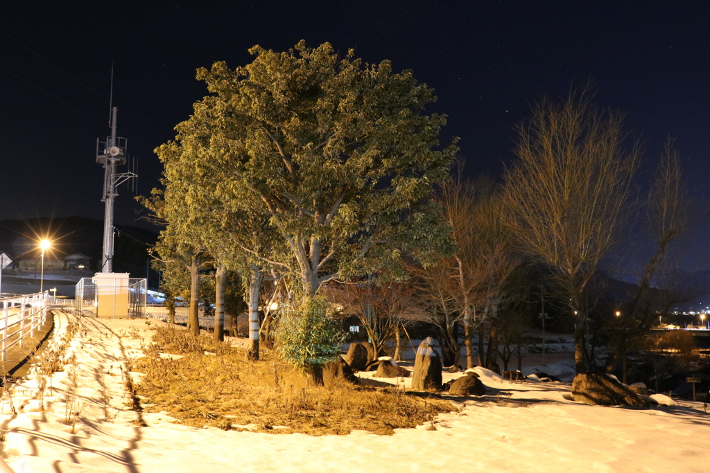 お気に入りの場所