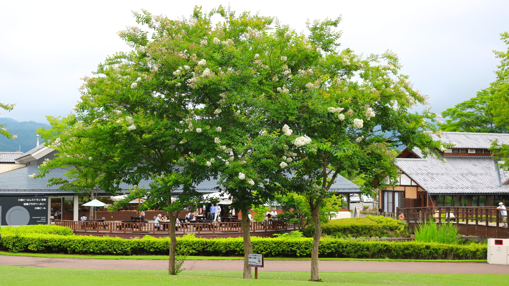 田園プラザ
