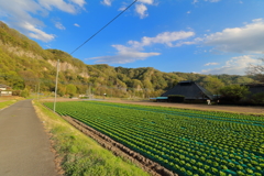 棚下の風景Ⅰ