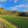 棚下の風景Ⅰ