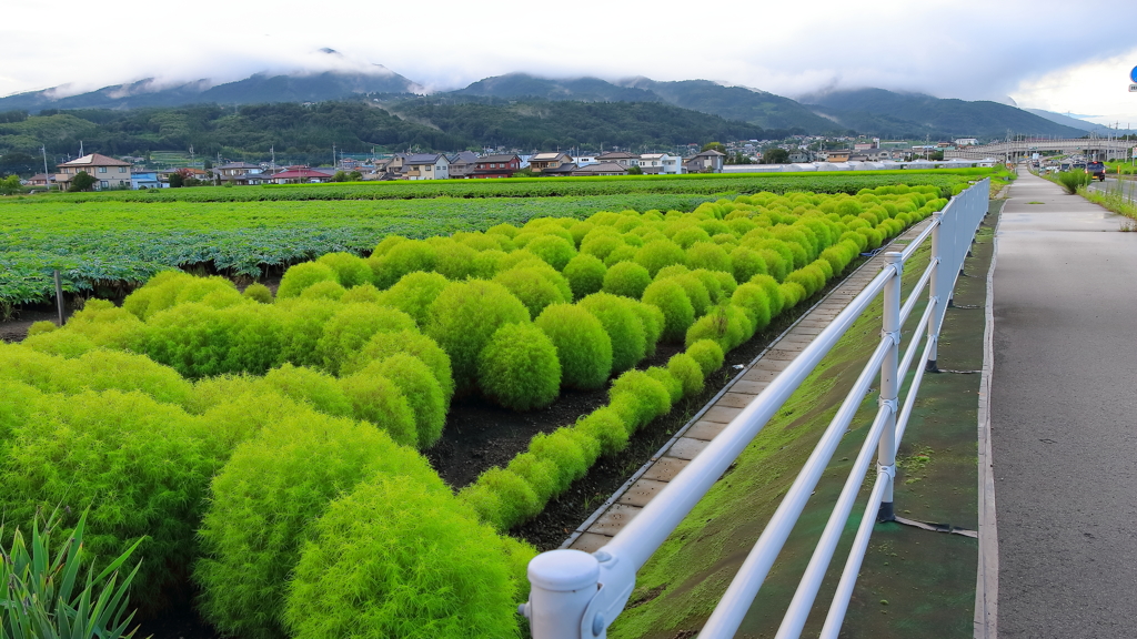 太陽が恋しいⅢ