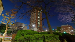 夜の県都 ぶら散歩Part3
