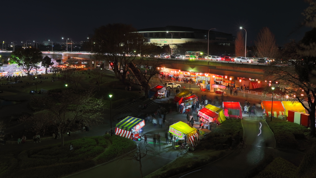 県都の夜桜 Part6