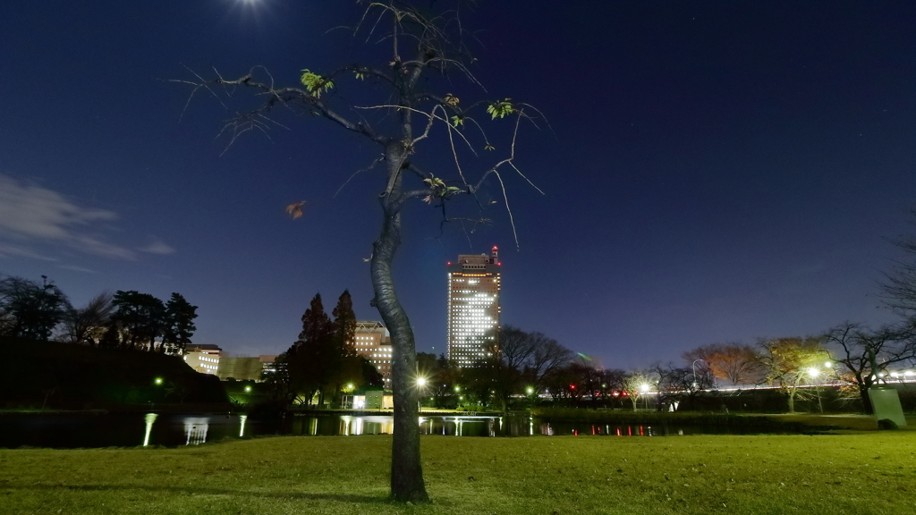 夜の県都 ぶら散歩Part14