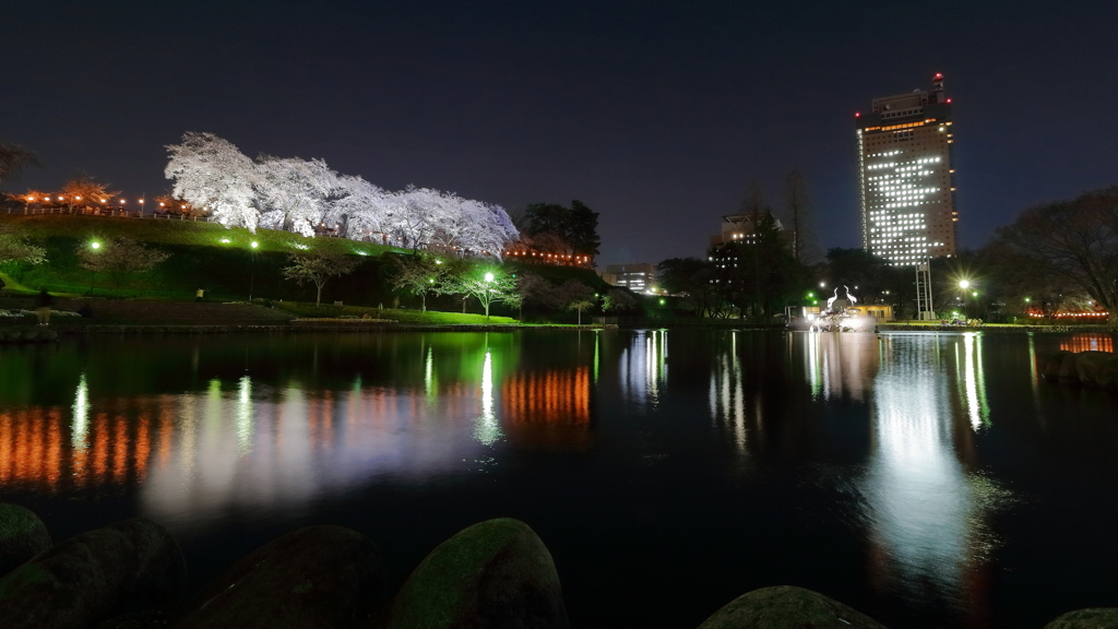 県都の夜桜 Part5