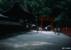 2016 下鴨納涼古本市