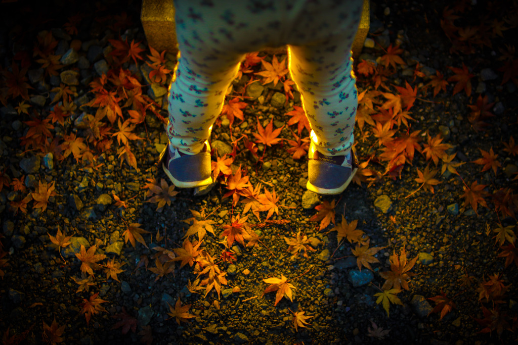 Autumn Colors