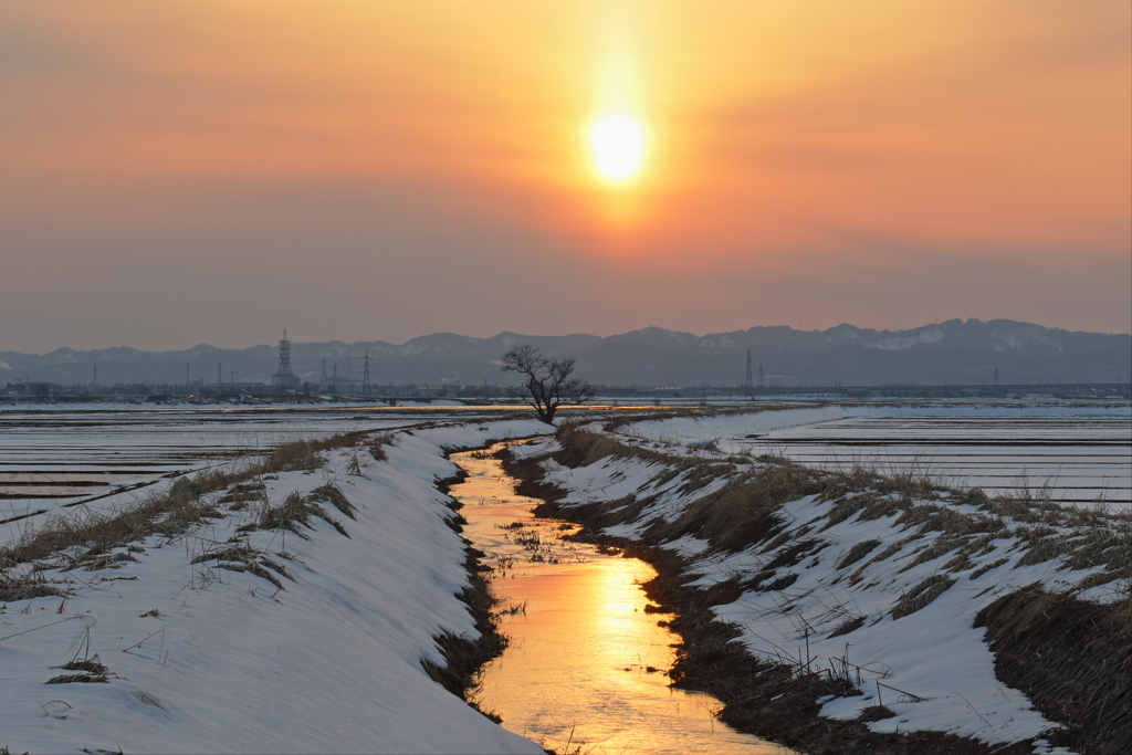 光る川