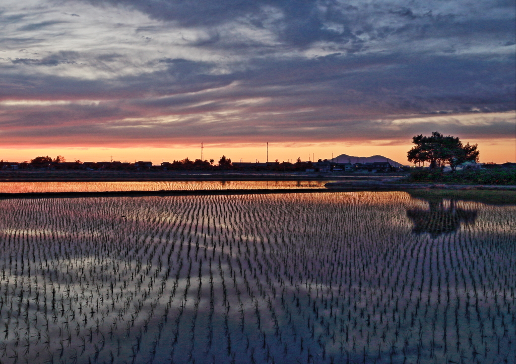 水鏡の夕焼け