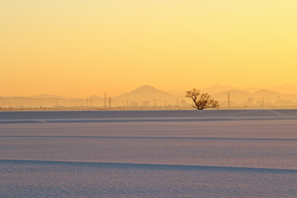 一本桜と米山-2