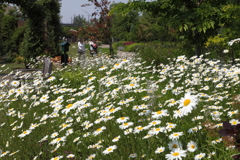 見附イングリッシュガーデン