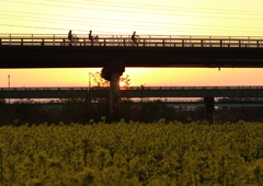 夕焼け