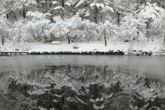 新雪の水鏡-1