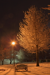 雪景-3