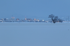 夜明け前