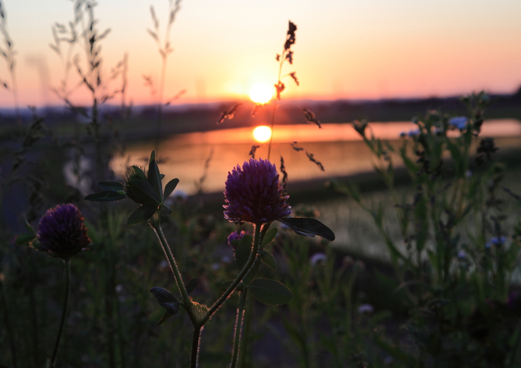 夕景