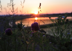 夕景