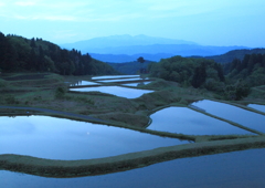 青の夜明け