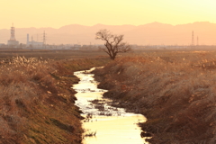 夕景