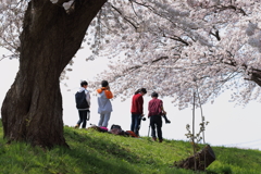 将来は名カメラマン