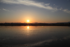青い夜明け-3