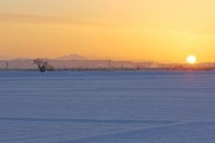 夕景