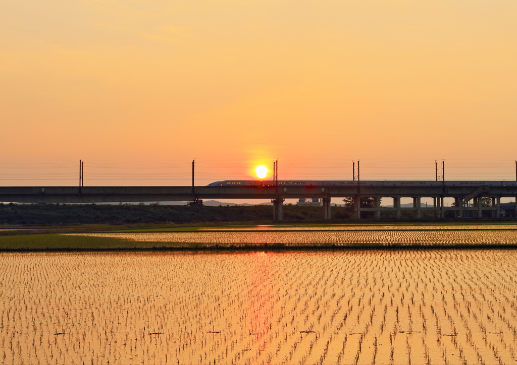 夕照の中を行く