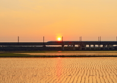 夕照の中を行く
